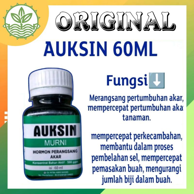 AUKSIN PERANGSANG AKAR MURNI 60ML/ ZPT PERANGSANG AKAR/ HORMON PERANGSANG AKAR/ OBAT AKAR/ ROOT UP