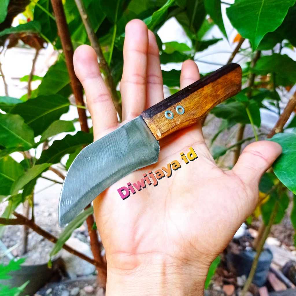 Lengkung Grafting tool Pisau Okulasi Pruning Tanaman Bonsai - Pisau Serut Bambu Layang Layang - Pisa