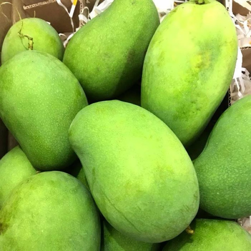 

buah mangga harum manis sumedang 5 kg