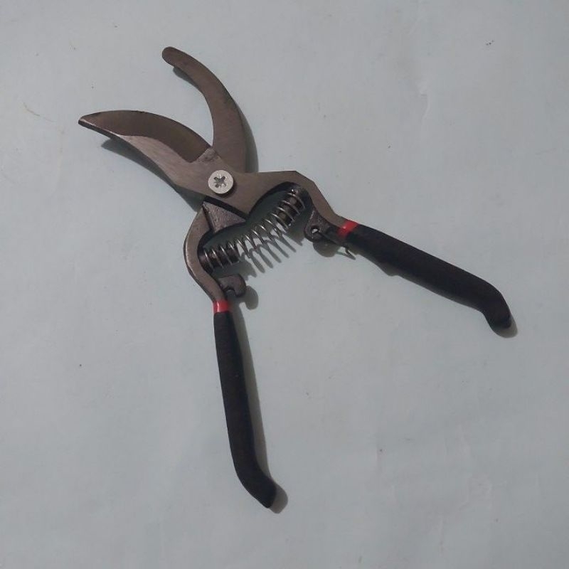 Gunting dahan ranting bunga