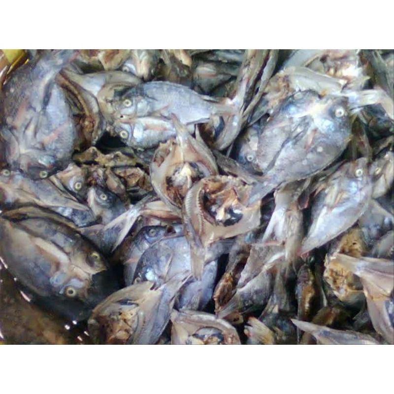 

ikan asin jaer, ikan kering, ikan murah, ikan kemasan 1 ons