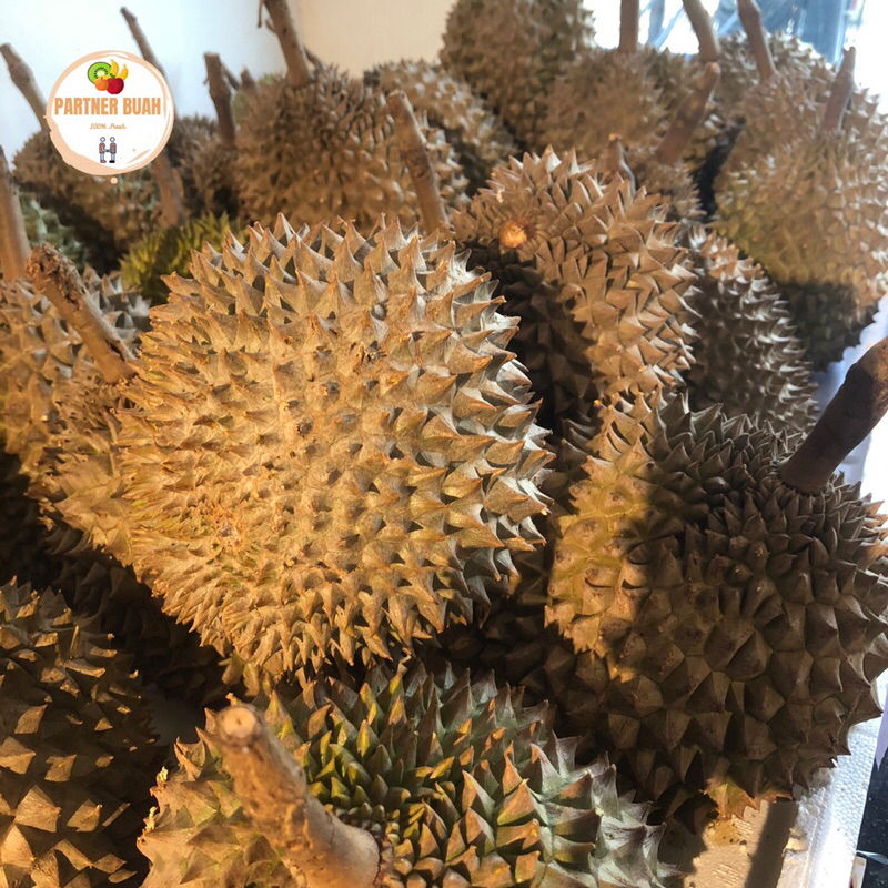 

Durian Bawor Promo | Durian Bawor Super -+3,5 kg