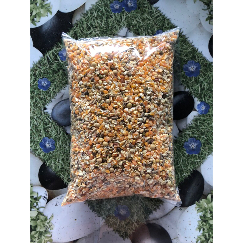 

jagung_campur_murah_1kg
