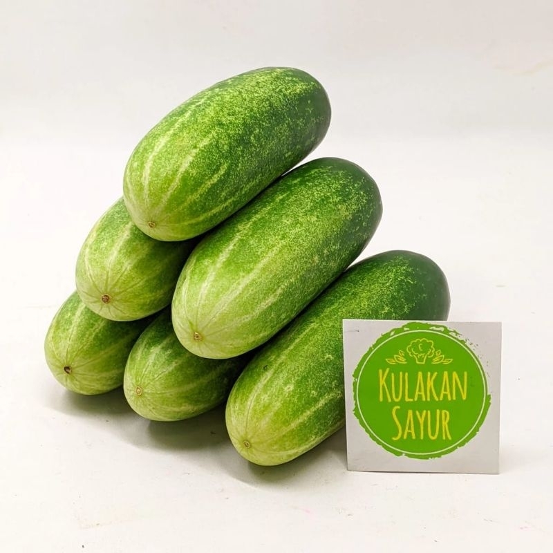 

Timun 250 gram - Kulakan Sayur