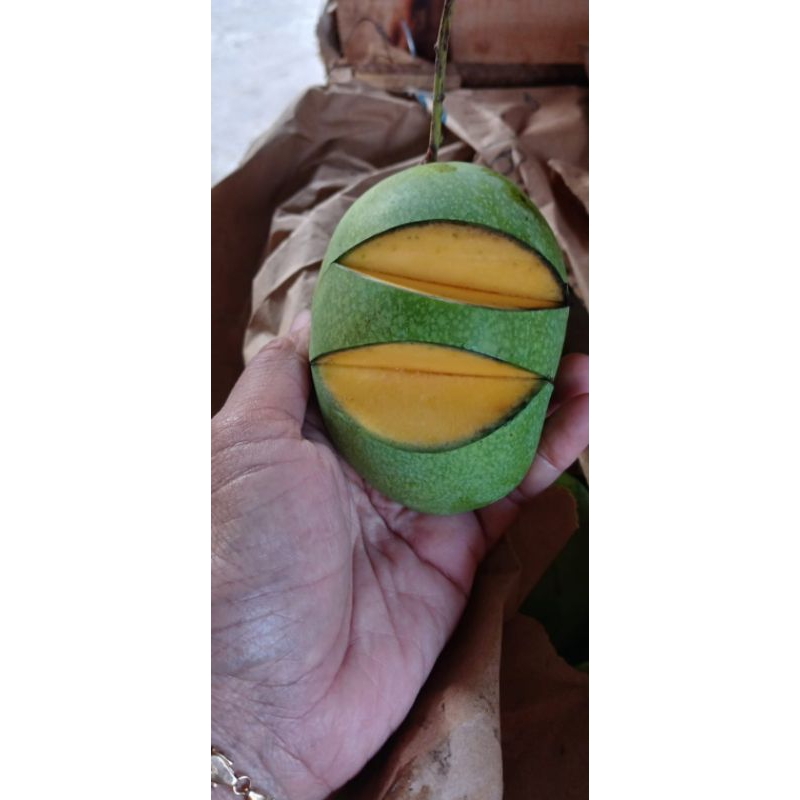 

mangga Jawa manis 1kg