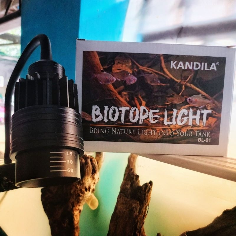 LAMPU KANDILA BIOTOPE LIGHT