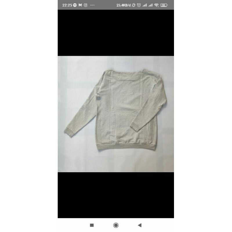 Arcteryx Sweater Crewneck Mini Bird Swatshirt Women