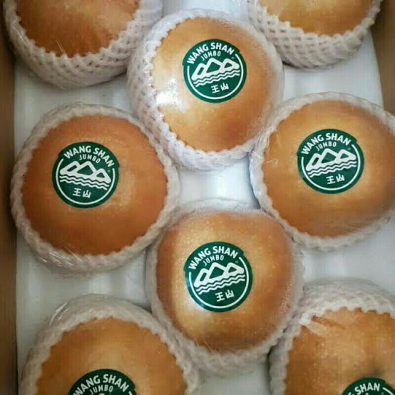 

pear singo wang shan @karton