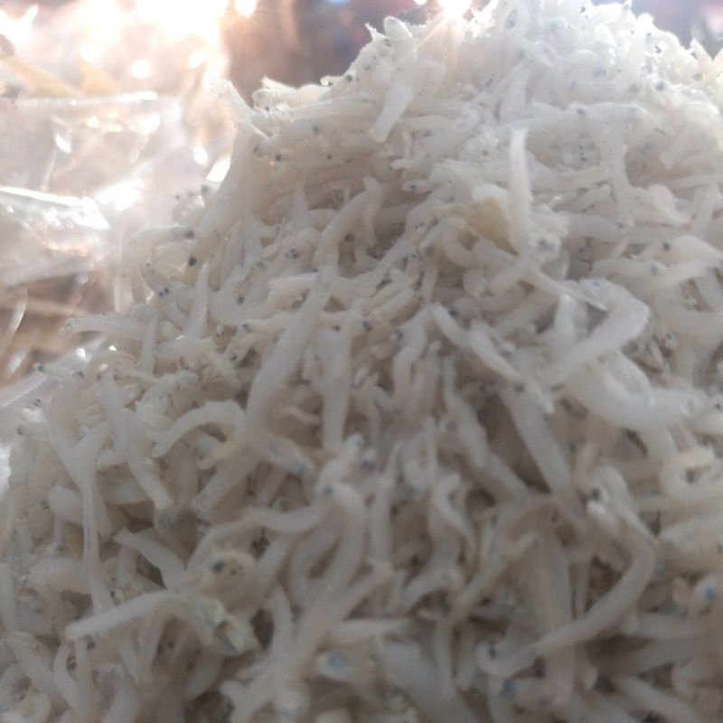 

teri nasi medan