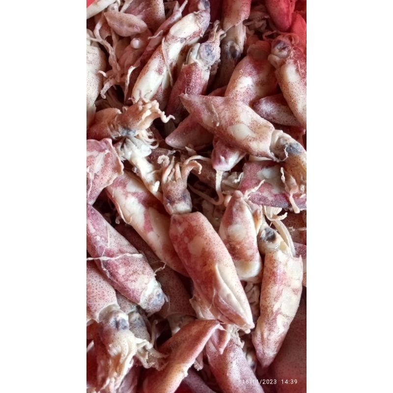 

Cumi asin has pesisir 1kg