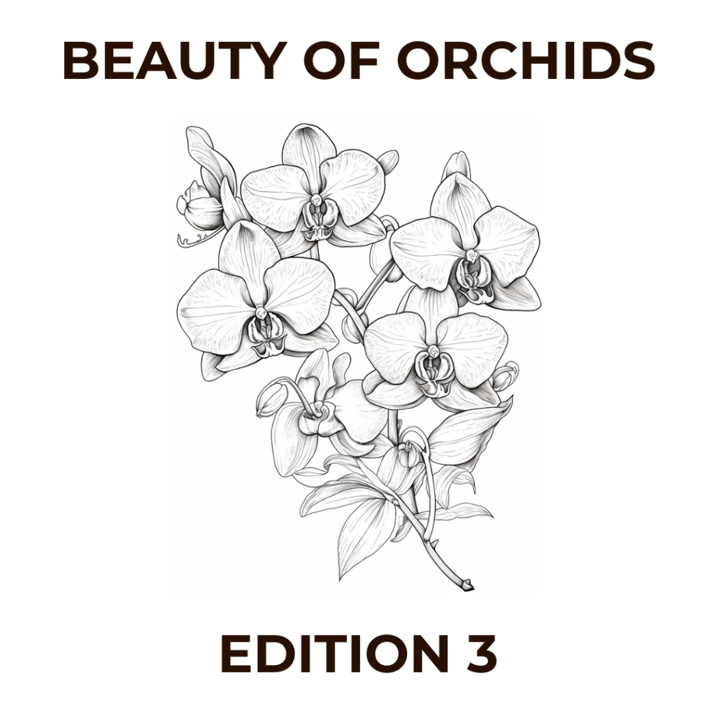 

Halaman Mewarnai Tema Keindahan Anggrek Edisi 3 File Digital