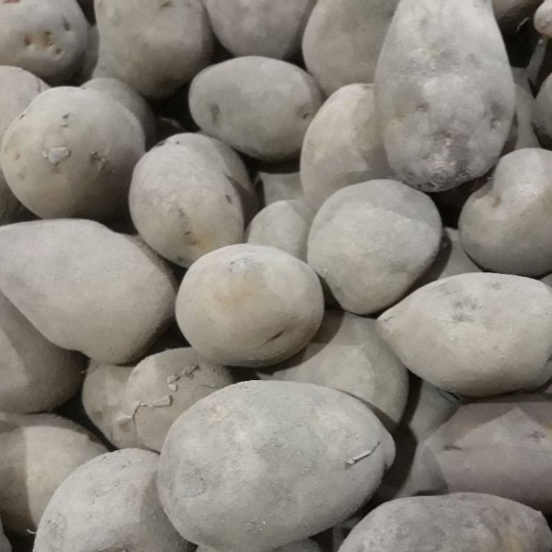 

kentang dieng 500 gram