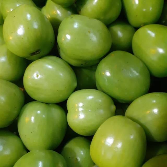 

Tomat Hijau 500 gr Fresh