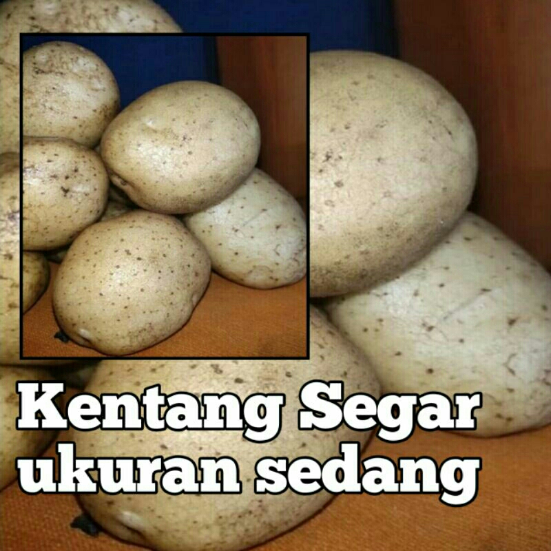 

Kentang mentah kiloan 1kg sayur frozen mustafa frozen dieng sayuran segar ukuran jumbo