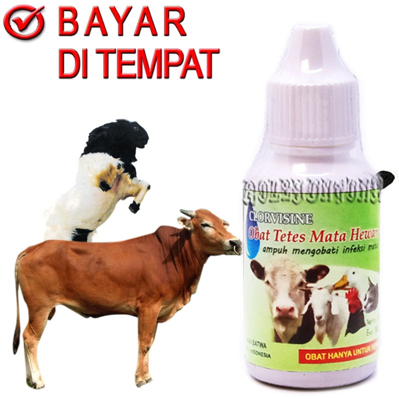 CLORVISINE Obat Tetes Mata Sapi Kambing Sakit Infeksi Bengkak Merah