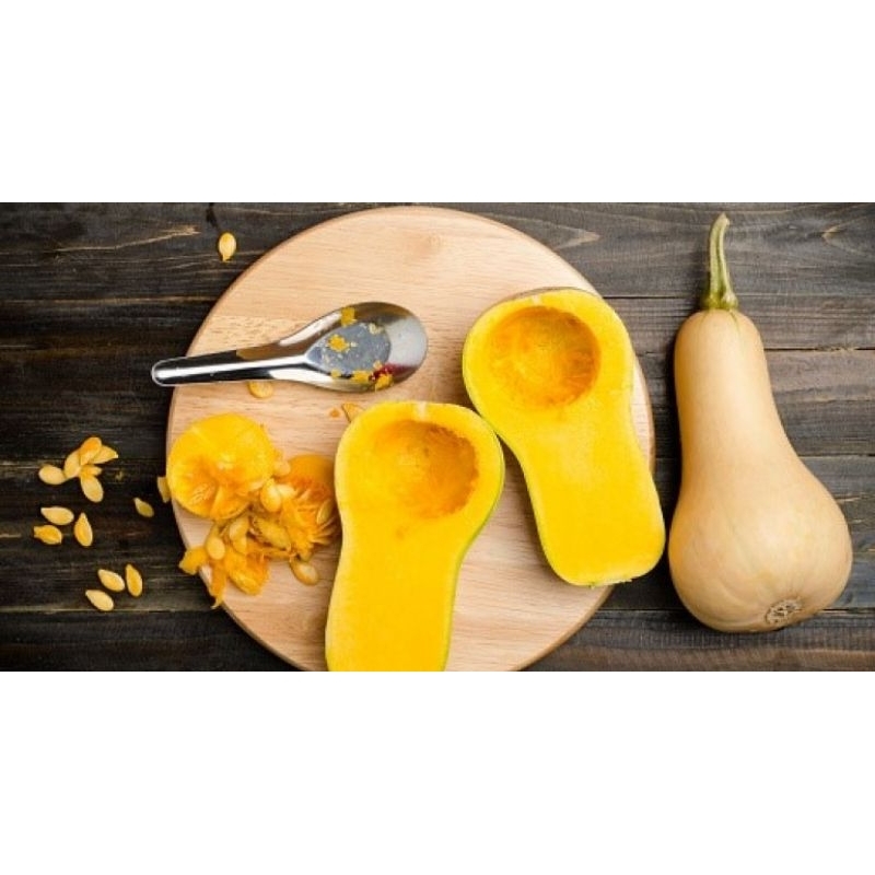 

buah labu madu (buternut pumpkins)