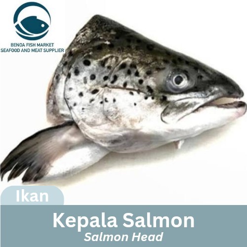 

Kepala Ikan Salmon Head