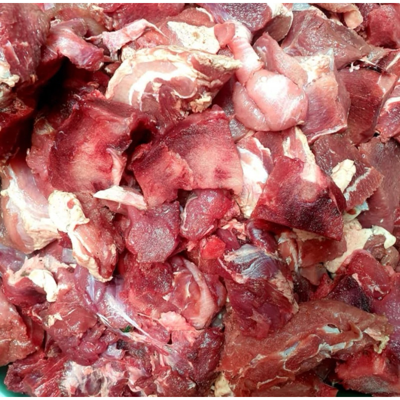 

celeng / b2 / babi willi segar