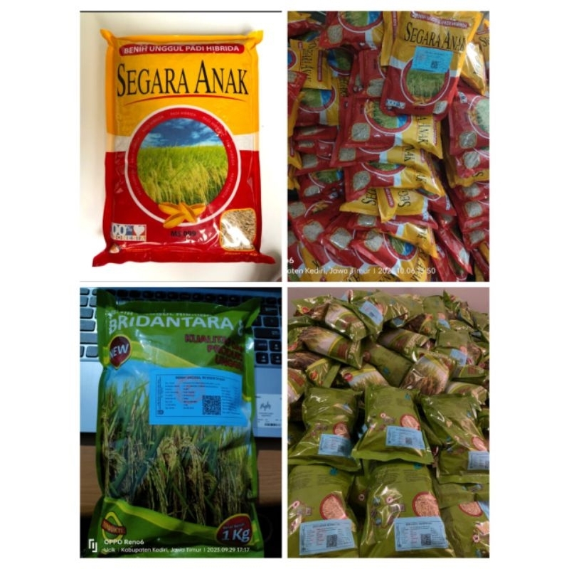 Benih Padi Hibrida Bridantara 1Kg
