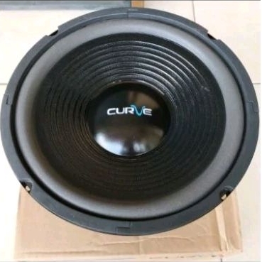 SPEAKER 10 INCH  CURVE  WOOFER