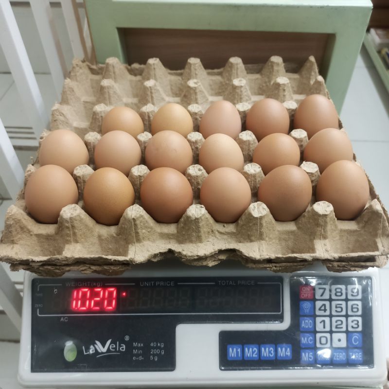 

Telur Ayam Negri Omega 1Kg