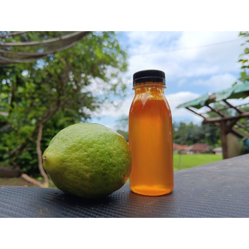 

Madu Odeng Hutan Asli 100% tanpa campuran