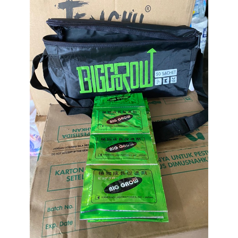 Pupuk ZPT BIG GROW 20WP 5gram Gibgro Giberelin Acid GA3