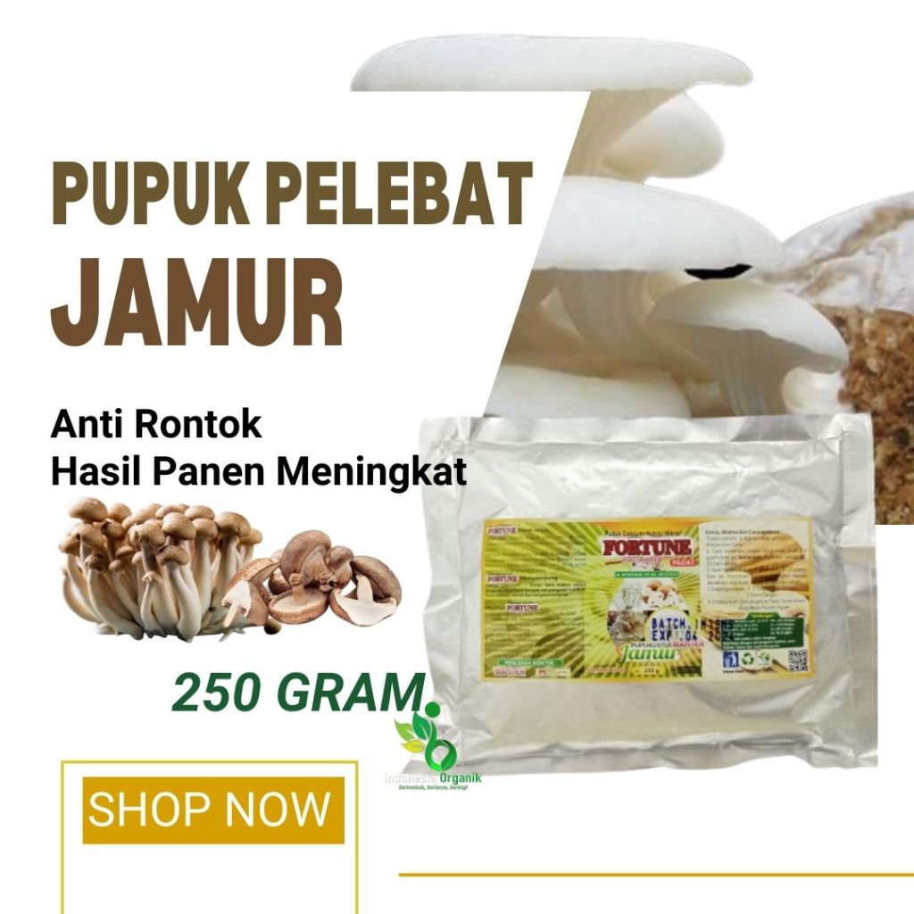 Pupuk Booster Pelebat Jamur Tiram, Nutrisi pemicu pertumbuhan jamur tiram