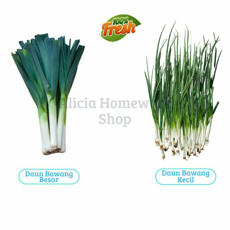 

RB Daun Bawang Kecil