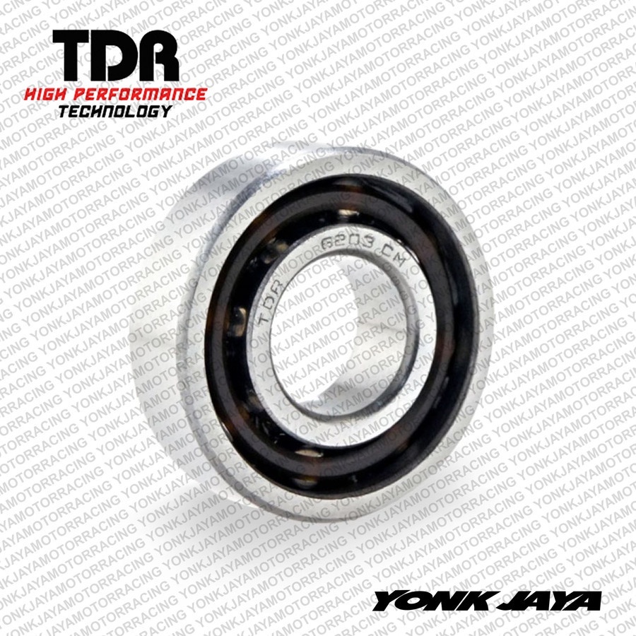 LAHER / BEARING TDR 6203 TN9/CM RS1