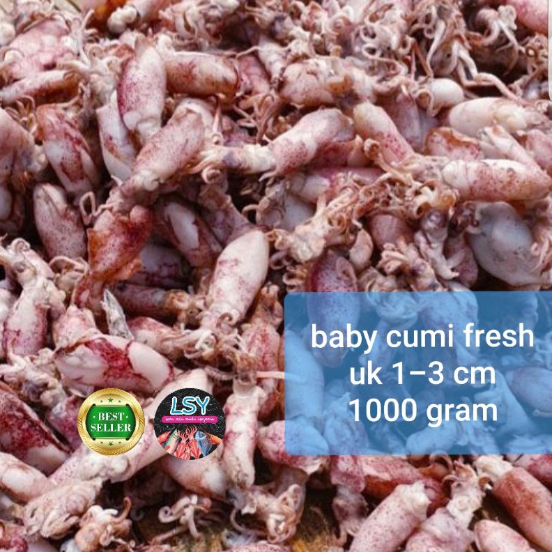 

12.12 ✨Promo✨ ikan asin baby cumi / cumi asin / cumi rebus 78 berat 1kg !!