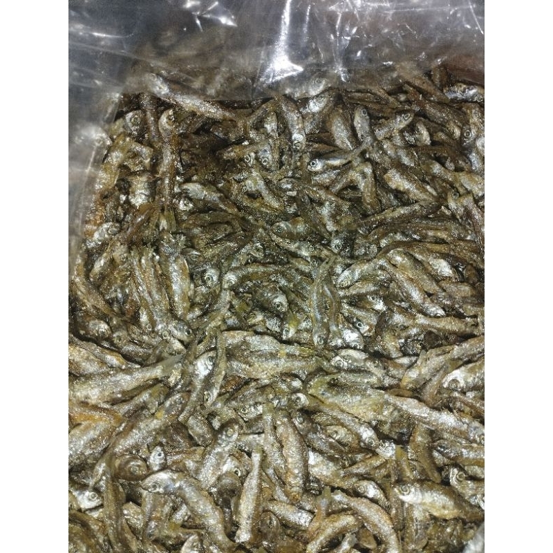 

IkanBilihGoreng_AsliDanauSingkarak
