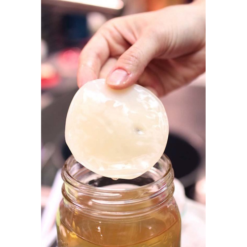 

BIBIT SCOBY KOMBUCHA BY KITABICHA