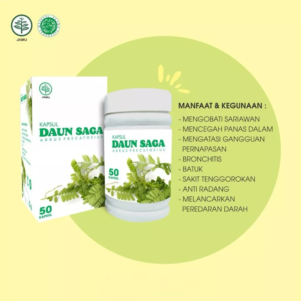 Kapsul Daun SAGA Herbal Anti Radang