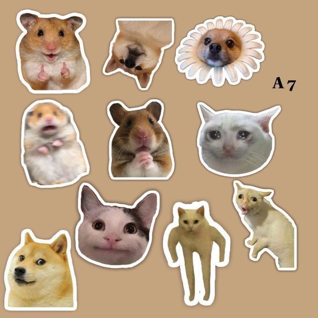 

Sticker Kuchinkkk kucing meme lucu