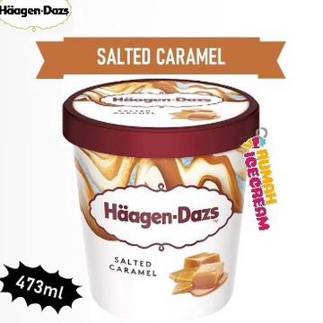 

YFLW9260 XC26619 Es Krim Haagen Dazs Pint Salted Caramel