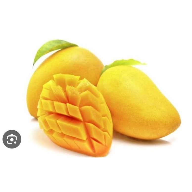 

COD✅ TERMURAH✅ Buah mangga 1