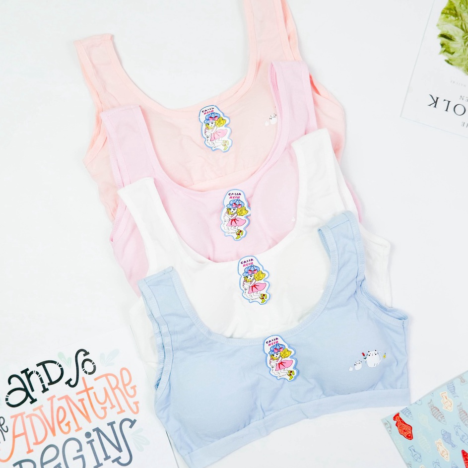 JVFQ3619 Stok terbaru  Sylle - Miniset Busa Anak SD / SMP / SMA ABG Remaja Busa Copot 8117
