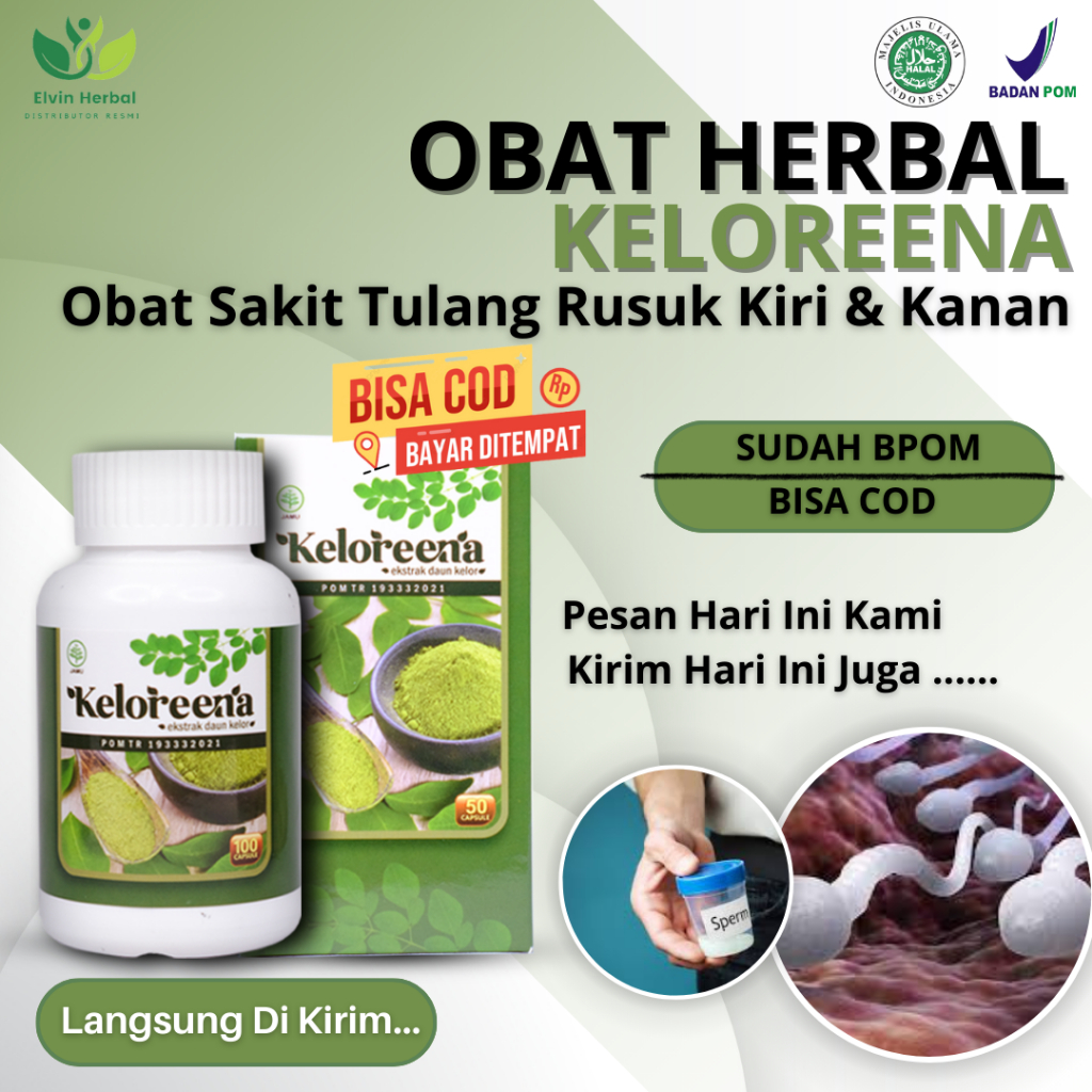 Elvin Herbal - Penyubur Sperma, Obat Penyubur Sperma pria, Pengental Sperma pria, Obat Pengental Spe