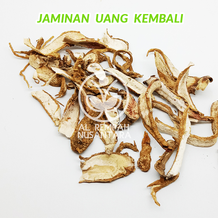 Akar Ginseng Jawa 50gr / SOM Asli Kering Organik