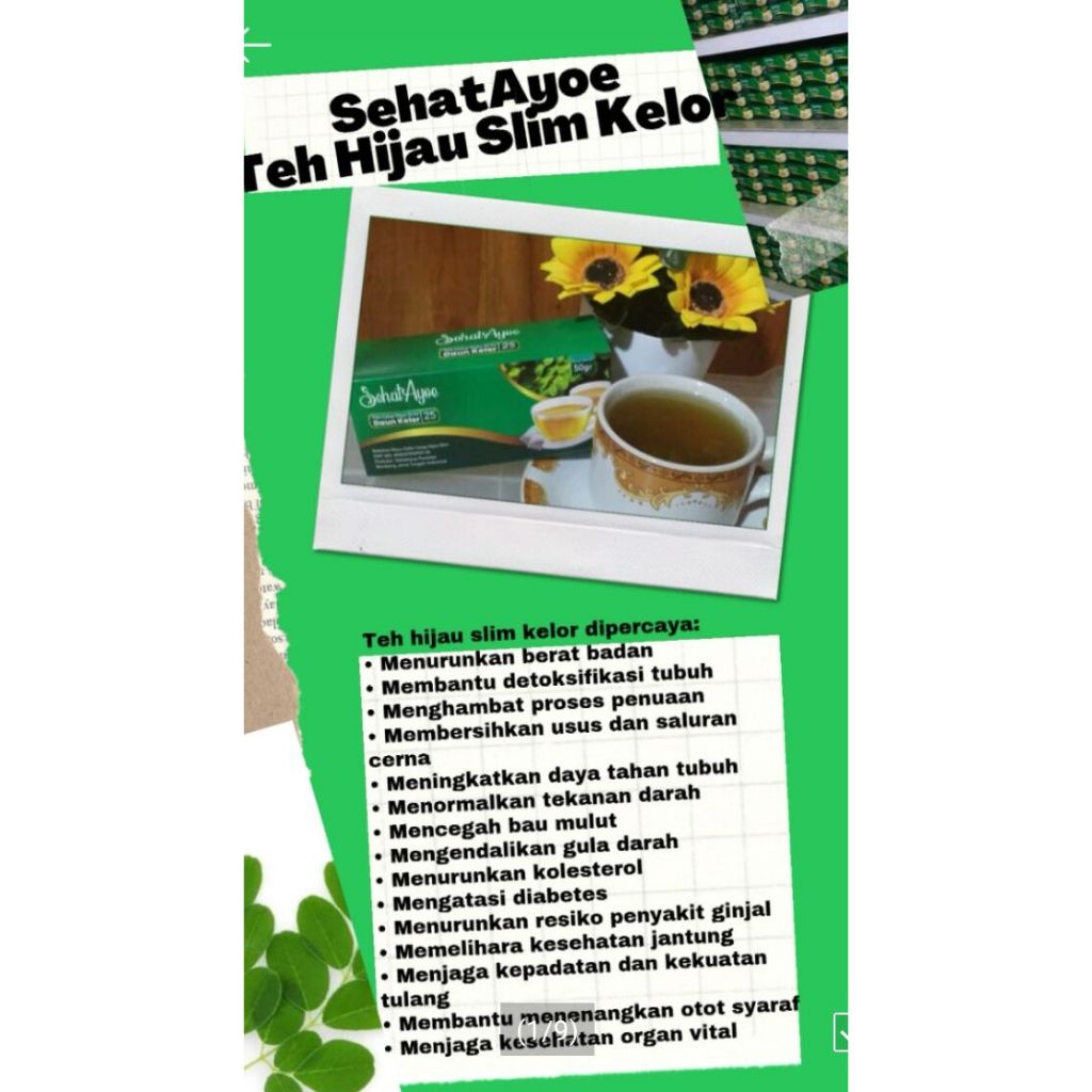 

Rahasia Pelangsing Alami: Teh Hijau Slim Daun Kelor for Diet dan Detox