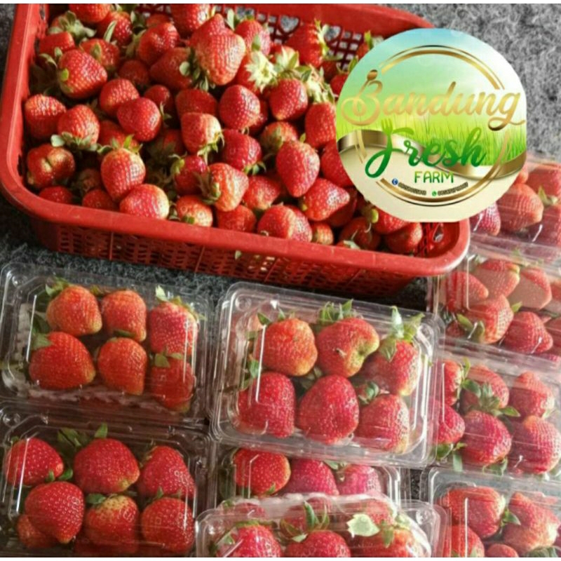

STRAWBERRY FRESH 250gr
