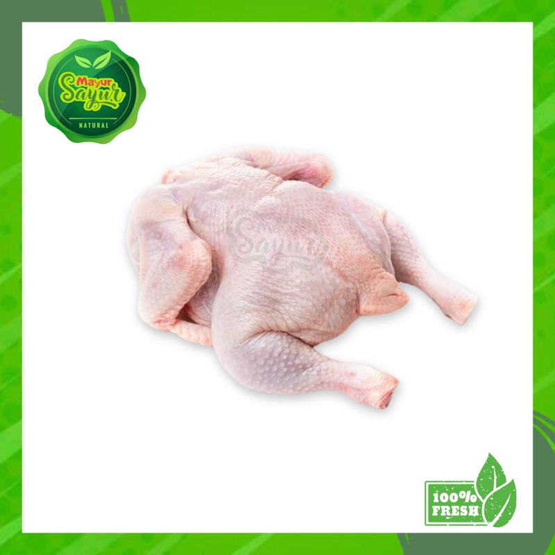 

KIRIM INSTAN Ayam Potong Broiler Segar / Daging Ayam