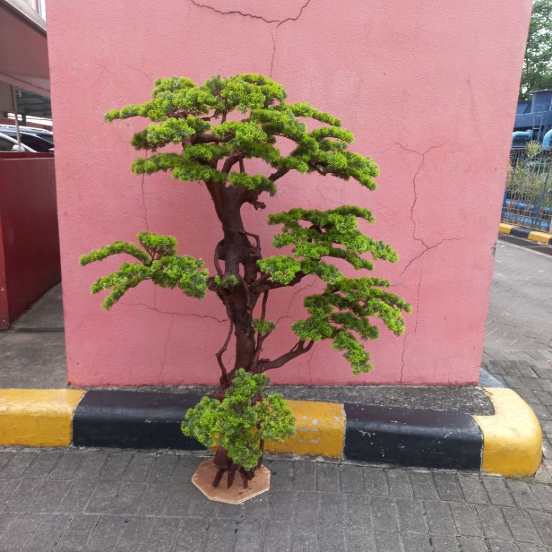 pohon bonsai palsu artificial/pohon bonsai jepang T.160cm