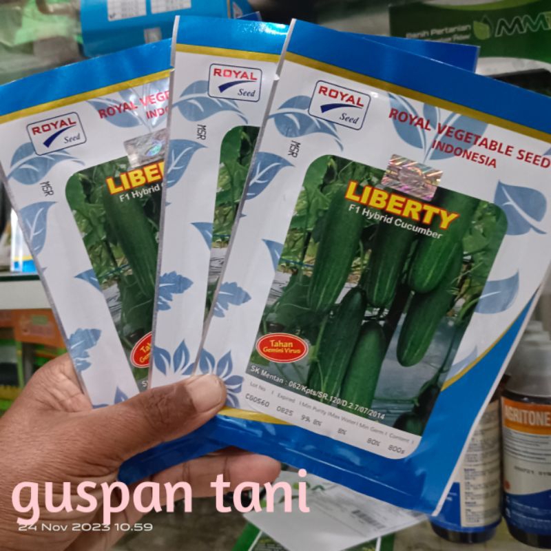 LEGENDA F1 Timun Hibrida 20g.