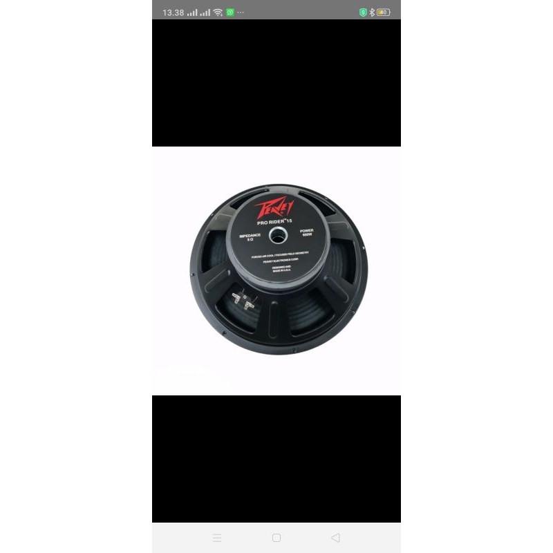 speaker komponen PEAVEY PRO RIDER 15 INCH