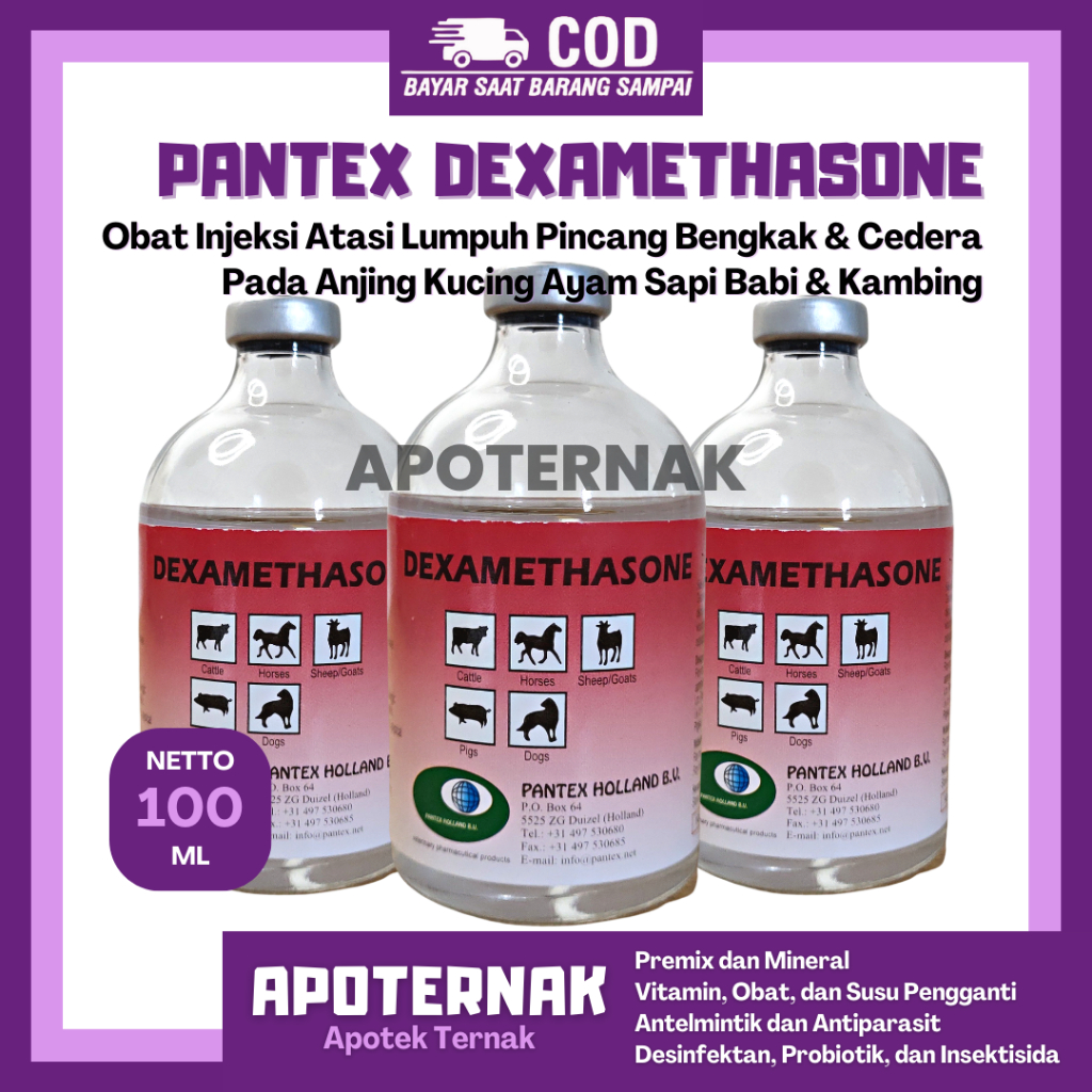 PANTEX DEXAMETHASONE 100 ml - Obat Injeksi Atasi Lumpuh Pincang Bengkak Cedera Pada Sapi Kambing Bab