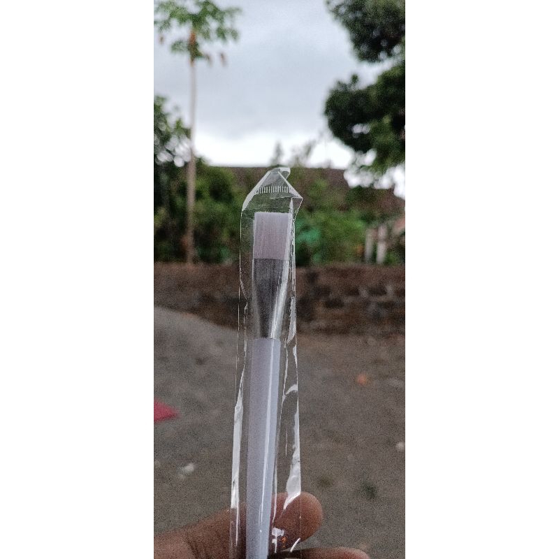 Kuas  Masker Komedo