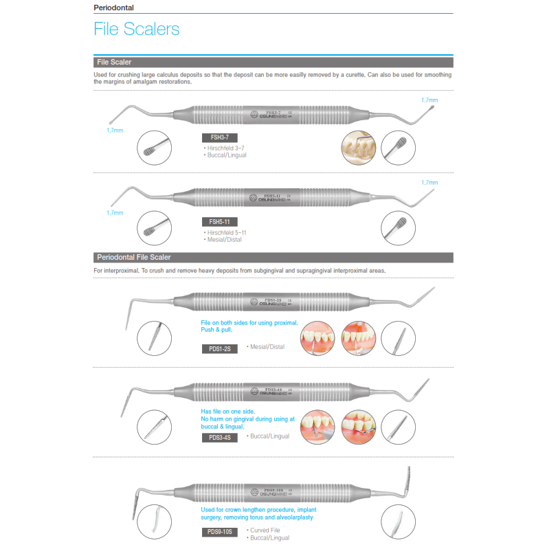 Osung File Scaler and Periodontal FIle Scaler Original