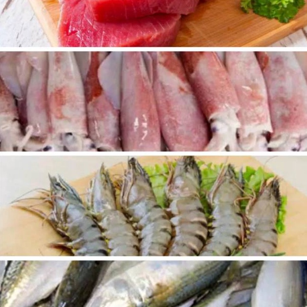 

PXKV8199 STOK SIAP 【COD Udang / Ikan Tuna / Ikan Kembung Banjar/ Tongkol / Cumi / Cakalang / Selar Kuning